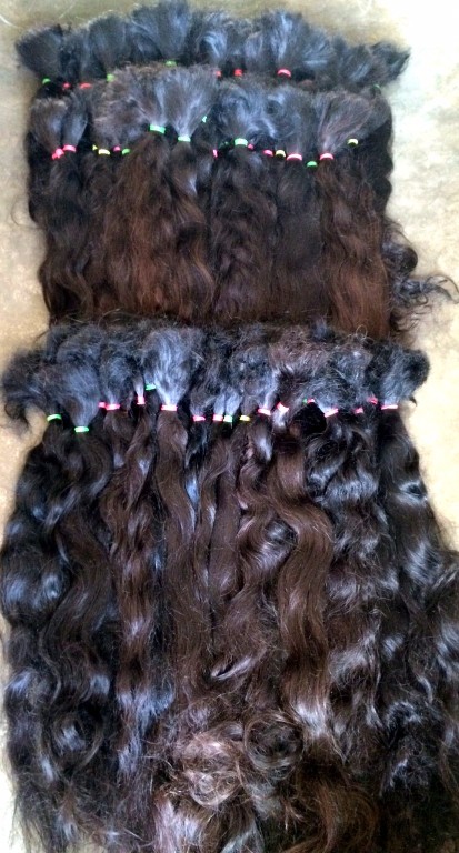 Temple Virgin Remy Bulk 5