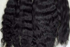 Temple Virgin Remy Bulk 7